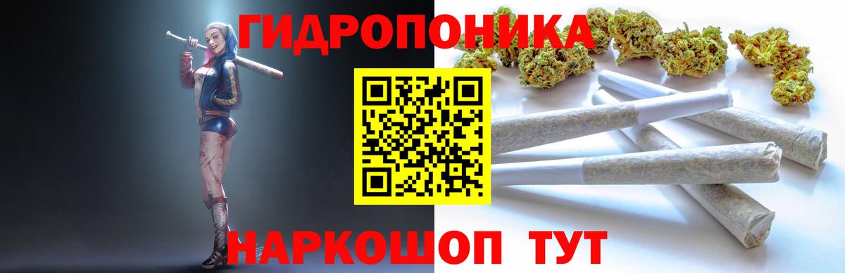 Бошки марихуана конопля  Вход с VPN  Бошки марихуана SATIVA & INDICA  Марихуана индика  Марихуана тримм  Ипатово 